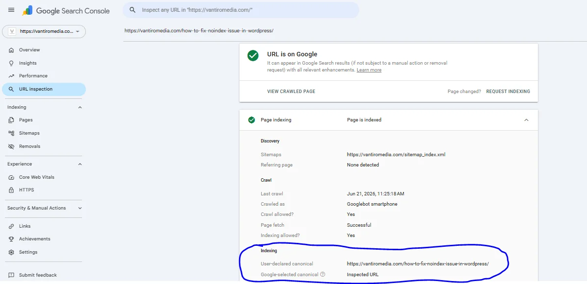 [Screenshot Placeholder: Google Search Console URL Inspection tool with affected WordPress URL]