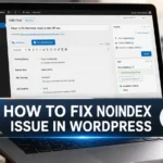 how to fix noindex issue in WordPress