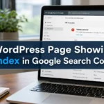 WordPress page showing noindex in Google Search Console