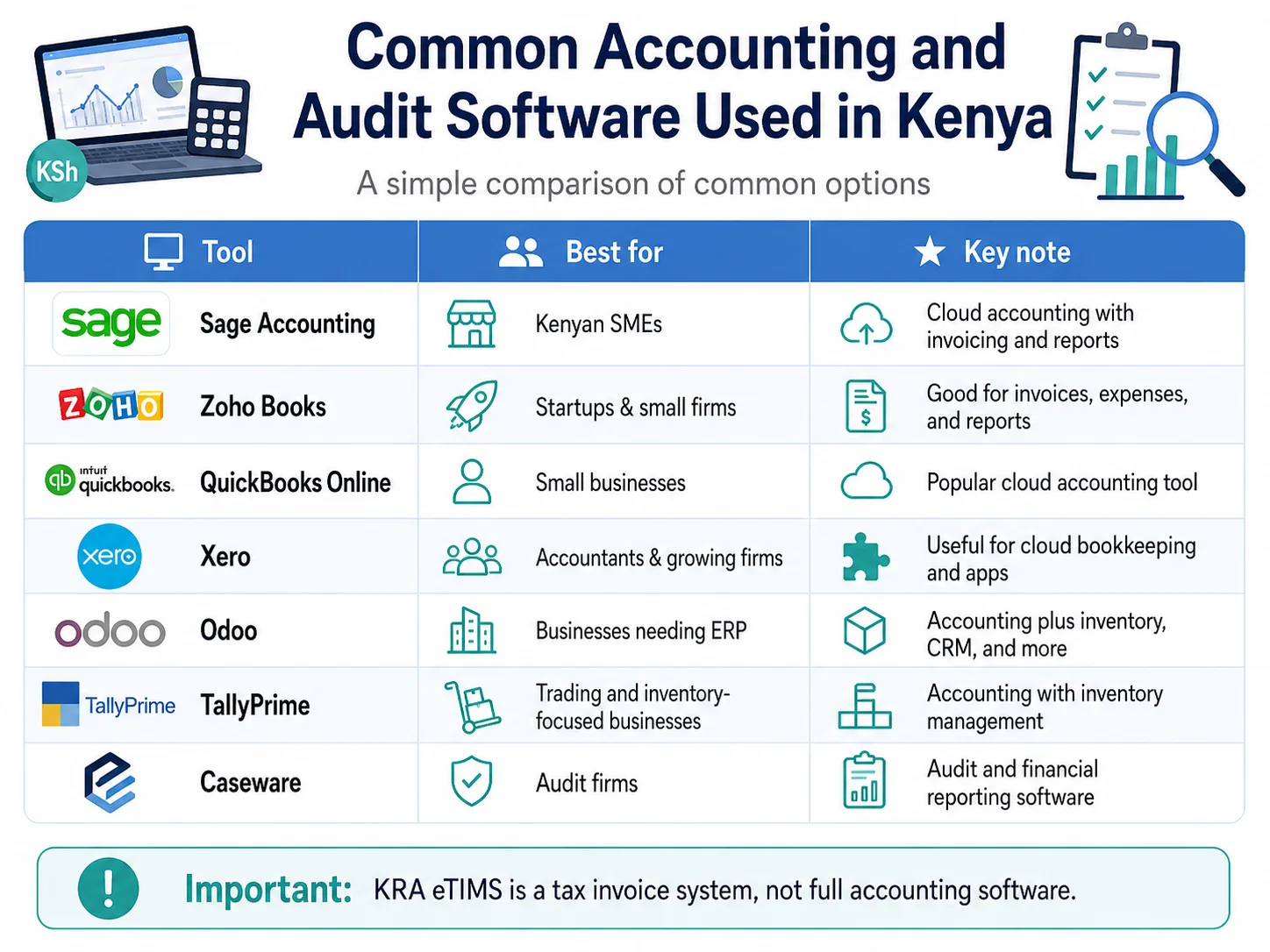 Common accounting and audit software used in Kenya comparison